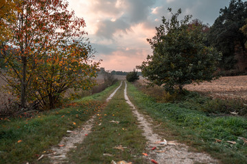 Endloser Weg beim Sonnenuntergang im herbstlichen Bayern