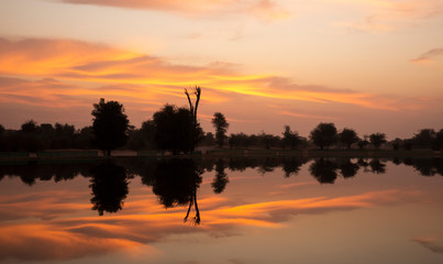 Fototapeta na wymiar sun rise at al Qudra nature reserve near Dubai