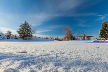 Fototapeta na wymiar winter landscape with snowy trees and snow