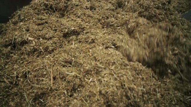 Dairy cows food preparation
