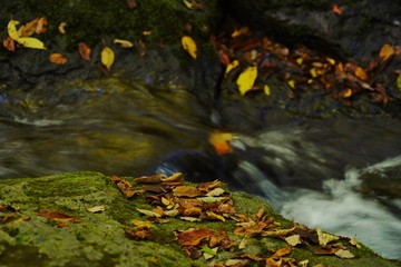 秋の紅葉を迎える阿蘇マゼノ渓谷