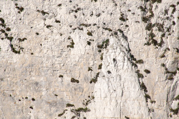 Detail of large chalk cliff face