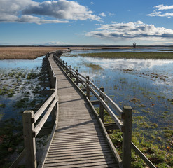 Wooden path to the lake.