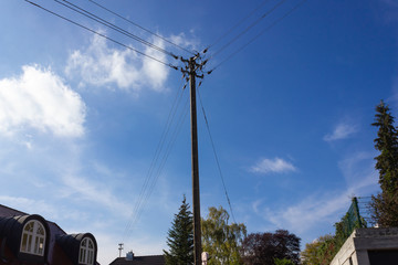 telegraph poles