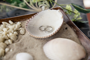 Ringe in einer Muschel