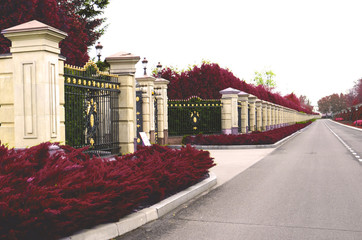 fence with autumn plants along the road