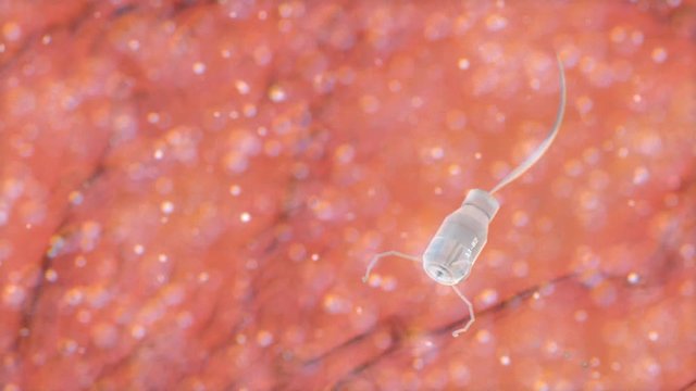Artist concept rendering, microscopic image, medical nano robotic swimming inside human body.