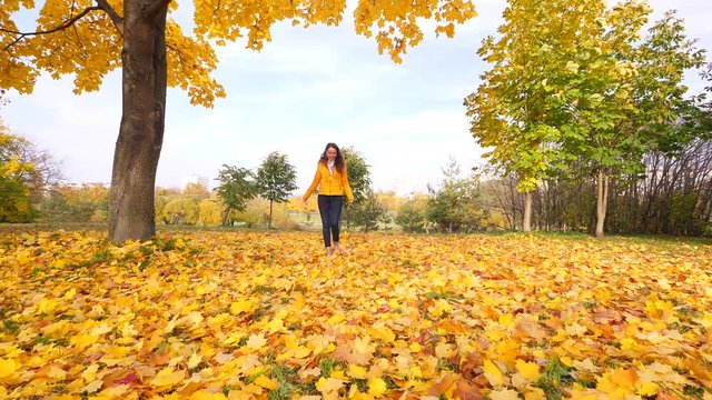 Happy woman kick maple leaves