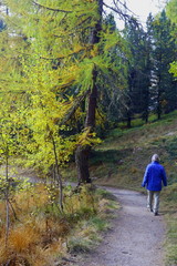 Fototapeta premium Goldener Oktober im Engadin