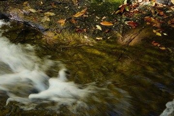 秋の紅葉を迎える阿蘇マゼノ渓谷