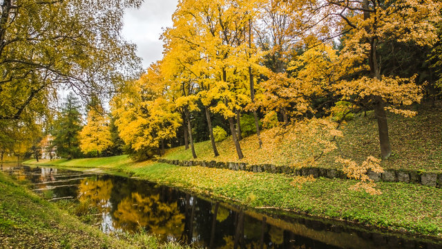 Fallen leaves on road in the forest, autumn landscape, nature trail, river in the park