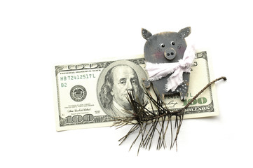 Piggy bank. Money and pig on a white background. Dollars credit