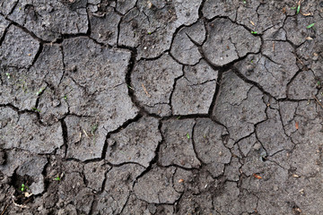 vertrocknete Erde