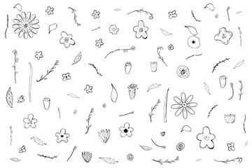 Flowers composition in doodle style. Vector ilustration.