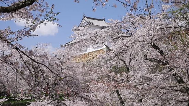 「津山」の画像 1,537 件の Stock 写真、ベクターおよびビデオ Adobe Stock