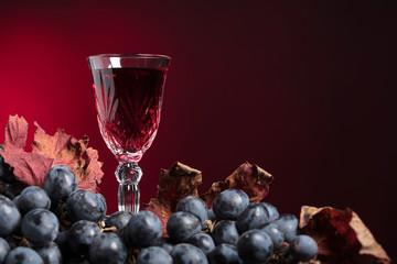 Crystal glass of red wine and grapes with dried vine leaves.