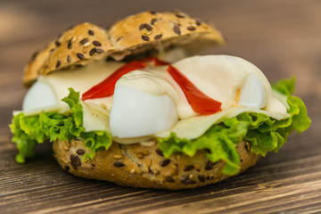 Fresh baguette sandwich on wooden background. Classic BLT sandwiches. Close up.