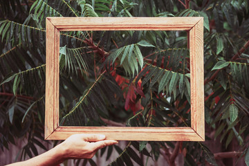hands holding wooden frame in leaves, green background, flat lay, daylight