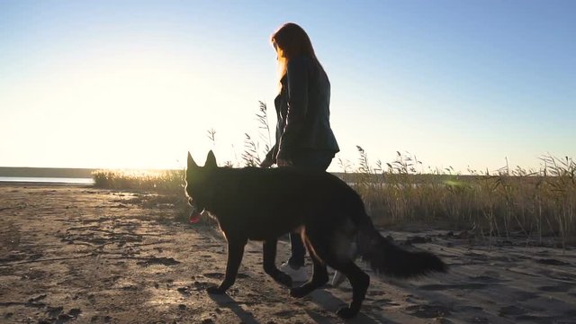 Young pretty redhead female is walking with a black german shepherd dog by her side on the beach towards the sunset (sunrise) and petting (scratching) it