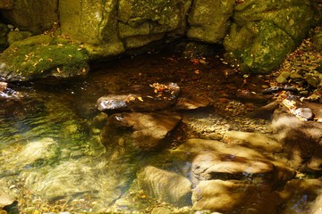 秋の紅葉を迎える阿蘇マゼノ渓谷