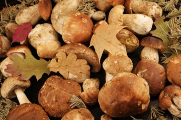 Porcini mushrooms on the black wooden table, background