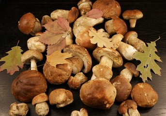 Porcini mushrooms on the black wooden table, background