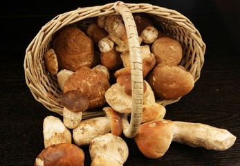 Composition with porcini mushrooms in the wicker basket, bkack background