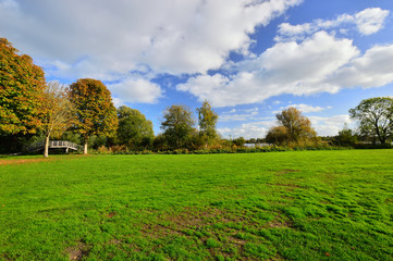 Zielona łąka wśród drzew pod niebiem z buiałymi obłokami.