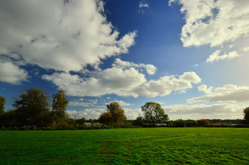 Park i drzewa pod białymi obłokami na niebieskim niebie.