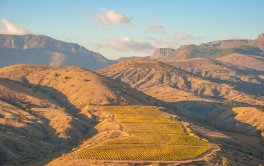 Mountain landscape with peaks and vineyards on the slopes