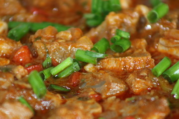 Sliced green onion on braised beef