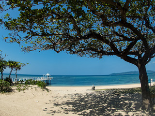 Large Tree with Shadows in Front of Pier over a Tropical Clear Blue Sandy Beach in Ishigaki, Okinawa Japan