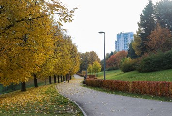 Autumn in park