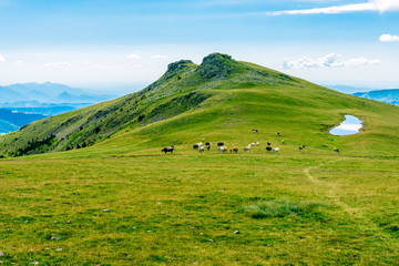 Obraz premium View in the Catalan Pyrenees Mountains.