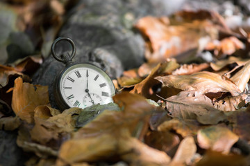 Retro Taschenuhr auf Steinuntergrund, braune Blätter, Herbst, Symbol für Zeit