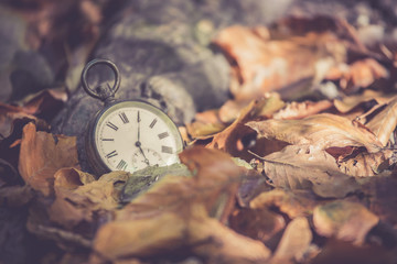 Retro Taschenuhr auf Steinuntergrund, braune Blätter, Herbst, Symbol für Zeit