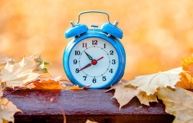 Clock with fallen leaves are on the bench 