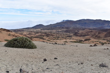 Hiking trail to the big famous volcano Pico del Teide in Tenerife, Europe