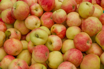 lots of ripe fresh red green apples