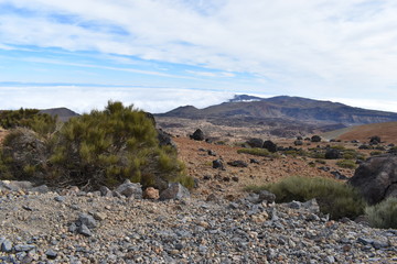 Hiking trail to the big famous volcano Pico del Teide in Tenerife, Europe