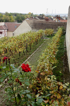 Mantes la Jolie