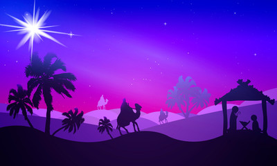 Fototapeta na wymiar night starry desert landscape at christmas