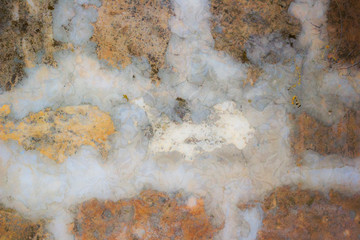 Wall bricks texture background.