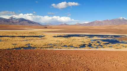 Atacama Wüste