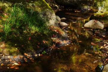 秋の紅葉を迎える阿蘇マゼノ渓谷