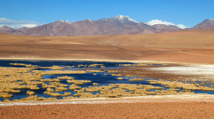 Atacama Wüste