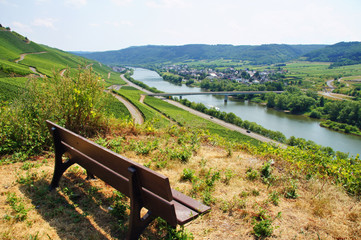 Kindel und L&ouml;snich an der Mosel im Sommer
