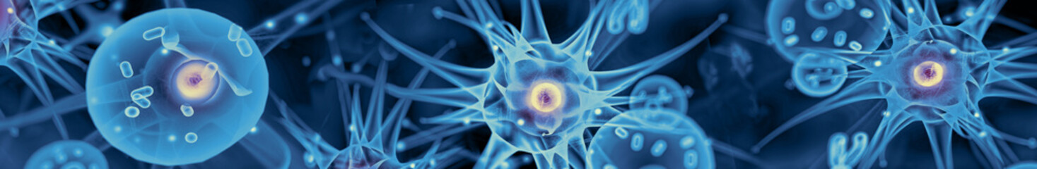 Active nerve cells