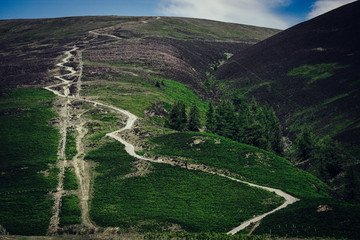 Skiddaw
