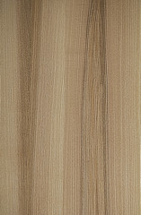 Counter texture of wood fibers. The background is brown and gray.